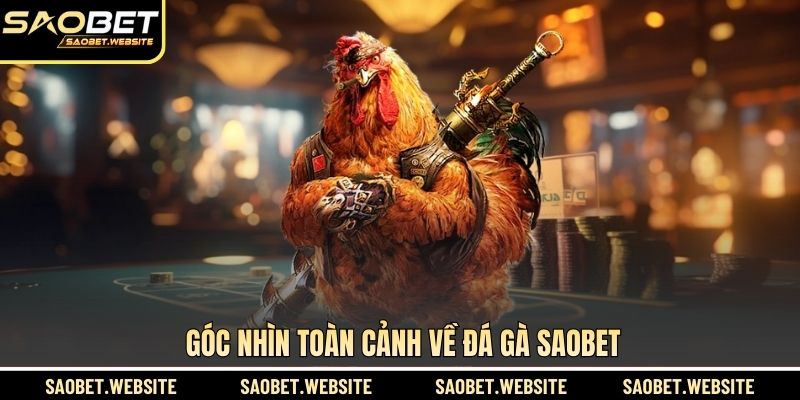 Góc nhìn toàn cảnh về đá gà SAOBET