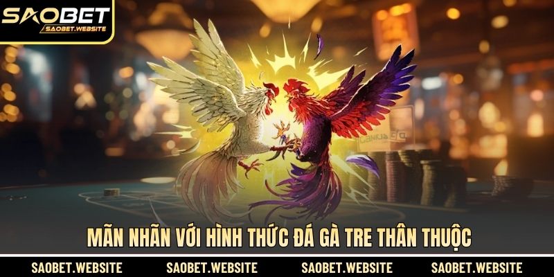 Mãn nhãn với hình thức đá gà tre thân thuộc